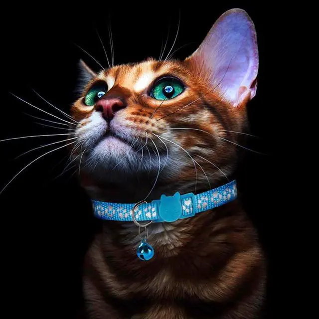 Alt view image 4 of 6 - 2 Pack Reflective Breakaway Cat Collars with Bells 7-12 Inch Blue | Reflective, breakaway buckle, bells included, 7-12 inch adjustable fit, nylon material, blue, 2 pack
