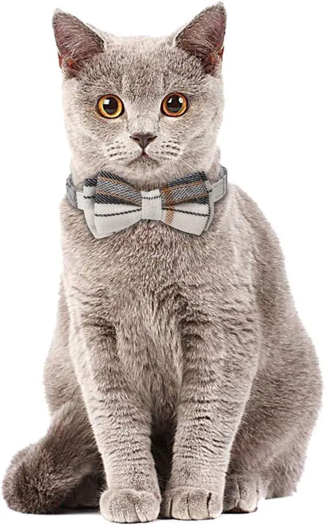 Alt view image 5 of 6 - Faleela Breakaway Cat Collar with Bells - 2 Pack Cat Collar with Bells, Cat Collars with Bandana, Accessories for Pet Collars, Adjustable for Cats and Small Dogs