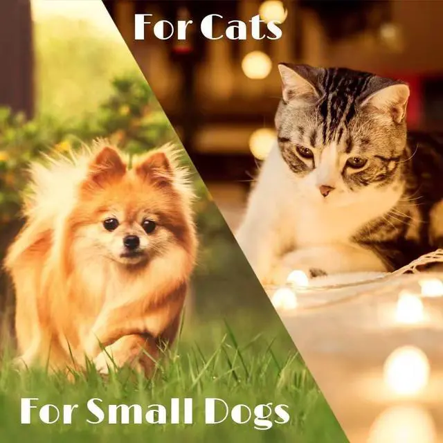 Alt view image 4 of 7 - kcrygogo Bells for Cat Collars - 2 Pack Copper Bells for Little Dogs & Cats Noise Maker Anti-Theft Bell Come with Silver Pet Anti-Lost ID Pendant Tags (2Set)