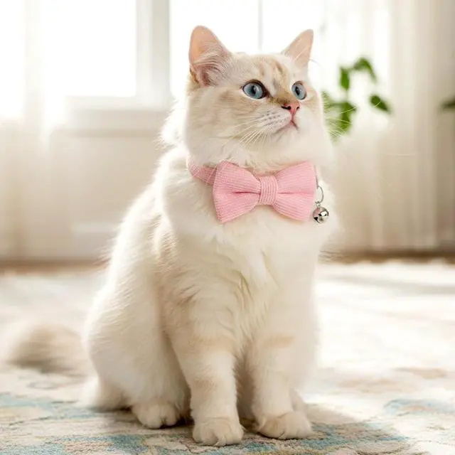 Alt view image 4 of 7 - Pink Cat Collar with Bow, Adjustable Breakaway Cat Collars for Girl Cats, Pink Kitten Collar with Bell, Cute Bow Kitten Collars Girl