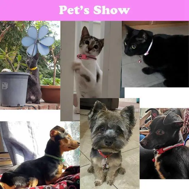Alt view image 2 of 6 - Cat Collar with Bell, 2-Pack Basic & Reflective XS Dog Cat Collar with Bells for XXS Xs Small Pet Dogs Boy Tiny Kitten Girls Animal,Neck 7-12 Inch (Dark Blue, Neck 7-12")
