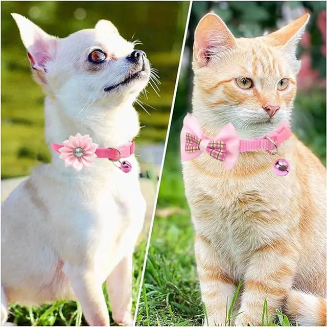 Alt view image 3 of 6 - Blue Small Dog Collar with Bell 2-Pack Bow Tie Puppy Collar with Bells for Boys Flower Kitten Cat Collars for Tiny Little XXS XS XSmall Extra Small Breed Pets Dogs Male, X-Small