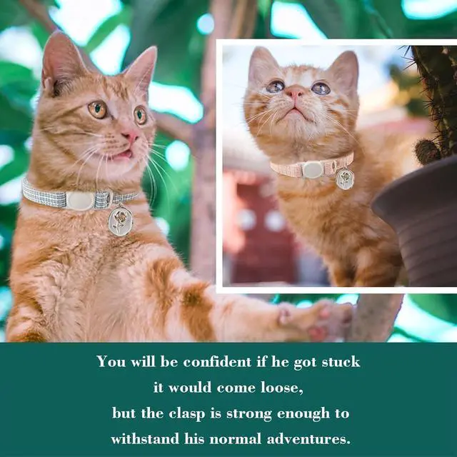 Alt view image 7 of 7 - Yizepet Cat Collars, Breakaway Kitten Collar, Cute Kitty Collar, Pet Supplies Accessories