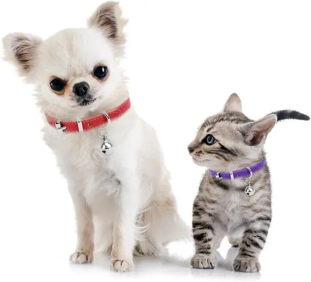 Alt view image 6 of 7 - XXS Dog Collar Teacup Dog Collar, Pink Dog Collars, Teacup Dog Collars for Small Dogs Cats, Pink, 3/8 inch Width | Dog Collars, Teacup Dog Collars for Small Dogs Cats