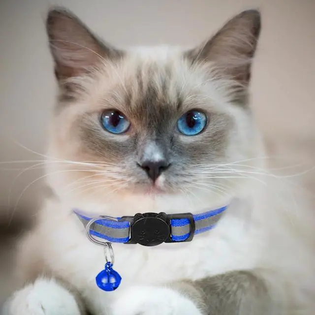 Alt view image 4 of 5 - 2 Pack Cat Collars Quick Release Reflective Kitten Collar with Bell & Safety Release (Dark Blue)