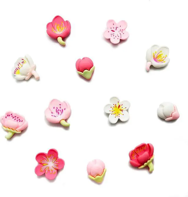 Alt view image 6 of 6 - Pink Cute Flower Fridge Magnets, Colorful Refrigerator Stickers with Meticulously Crafted Pattern for Kitchens, Offices, Lockers and Home Decoration.(12 PCS Sakura)