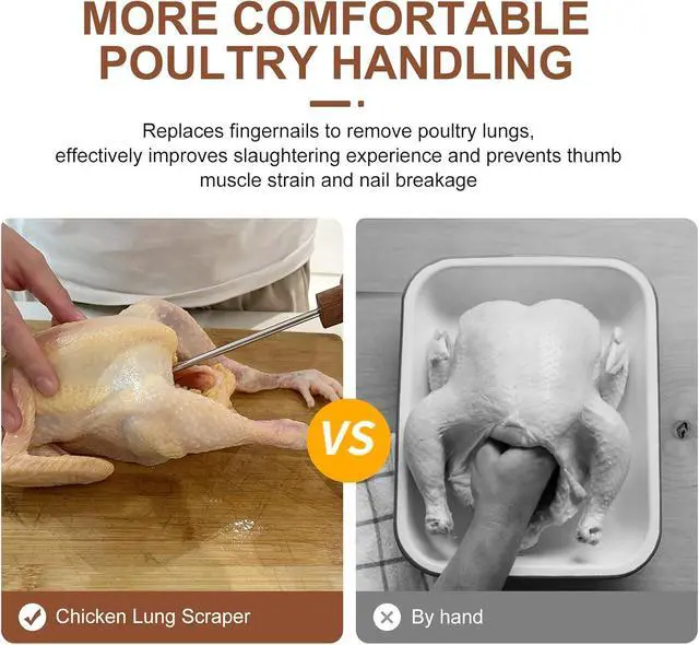 Alt view image 2 of 7 - Lung Scraper of Chicken Processing Equipment Poultry Lungs | Easily Removes, Acacia Wood Handle, Chicken Butchering Equipment That Efficient Gutting Tool for Turkey, Chicken