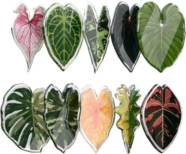 Main image of Fridge Magnets Cute Refrigerator Magnets, Plants Leaf Kitchen Magnets, Ideal Decor for Home, School Locker and Office, Funny Gift Home Decor 10 Pcs