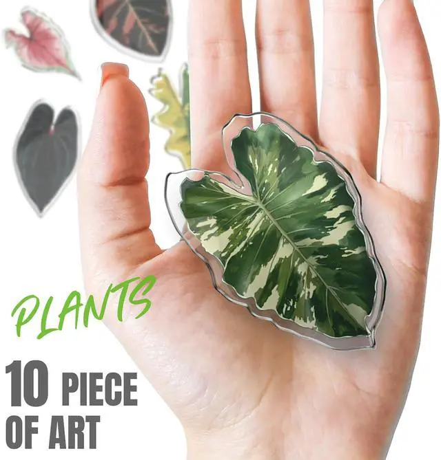 Alt view image 2 of 6 - Fridge Magnets Cute Refrigerator Magnets, Plants Leaf Kitchen Magnets, Ideal Decor for Home, School Locker and Office, Funny Gift Home Decor 10 Pcs