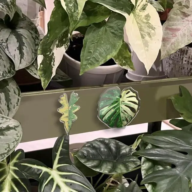 Alt view image 3 of 6 - Fridge Magnets Cute Refrigerator Magnets, Plants Leaf Kitchen Magnets, Ideal Decor for Home, School Locker and Office, Funny Gift Home Decor 10 Pcs