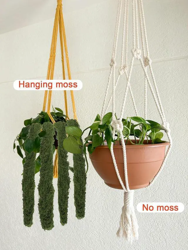 Alt view image 5 of 7 - 8.8oz Green Fake Moss Faux Plant Grass Artificial Flowers Moss for DIY Crafts Fairy Garden Pot Filler Vase Decorating Project Indoor Model Making Walls Glass Decor Forlaoers