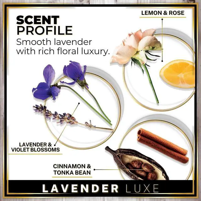 Alt view image 4 of 7 - Urban Naturals Car Air Freshener Diffuser 1 Pack, Lavender Luxe Scent | Long Lasting Fragrance for Lyft and Uber Drivers, Hanging Car Diffuser - Hang with Rope or use Vent Clip