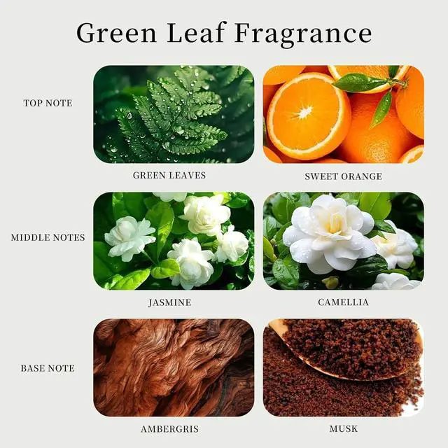 Alt view image 5 of 7 - Car Air Freshener Vent Clip, Starter Kit with Refills, Scent Diffuser | Car air freshener vent clip, starter kit with fruit plant refills. Natural scent, long lasting aroma, easy clip on vents