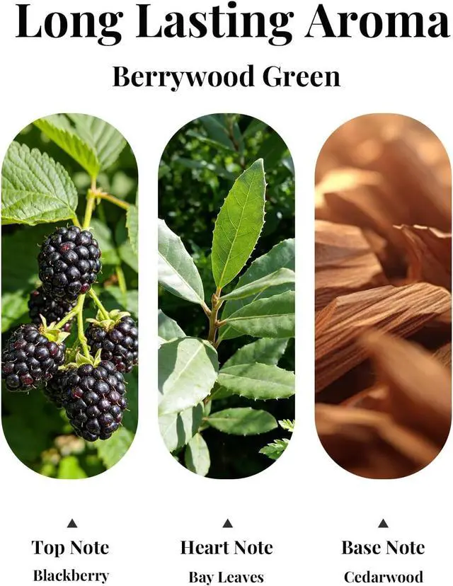 Alt view image 2 of 7 - Car Air Fresheners, Hanging Car Odor Eliminator-Berrywood Green | Natural Car Odor Eliminator, Compact & IFRA Approved