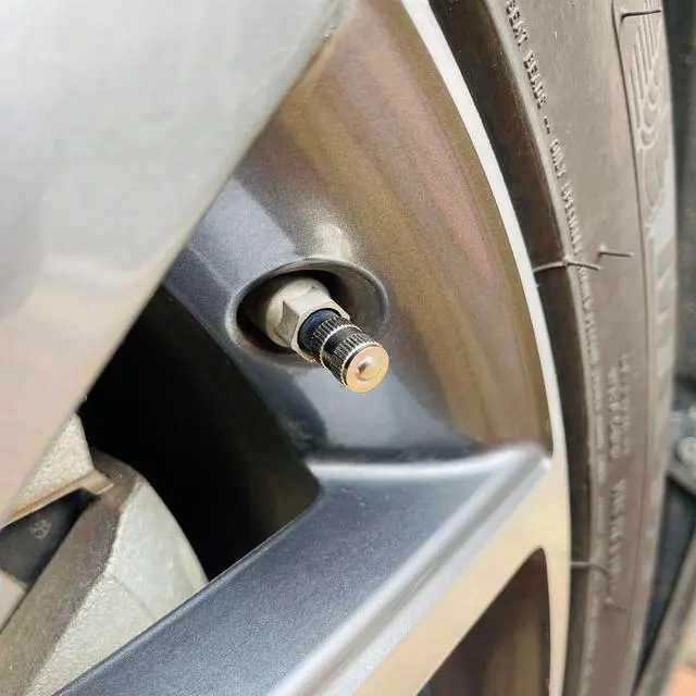 Alt view image 4 of 4 - Brass Tire Valve Caps (25 Pack) Heavy-Duty Stem Covers | Dust Proof, with O Rubber Seal | Chrome Brass | Easy Install, Leak-Proof Air Protection | Light-Weight Caps(Silver) (Round)