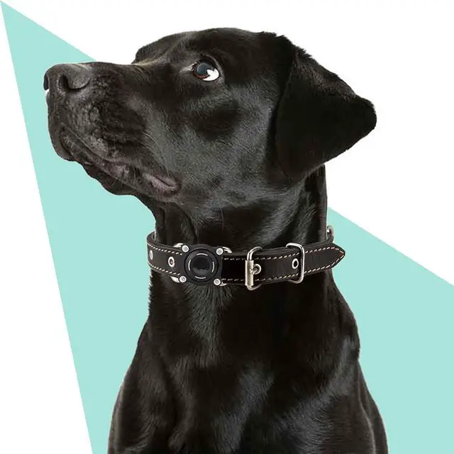 Alt view image 2 of 7 - Waterproof Dog Collar Holder for Airtag Dustproof, Ultra-Durable, Shockproof Case Compatible with Apple Air Tag (Not Included), Anti-Loss GPS Tracker Cover for Pets, Dogs, Cats