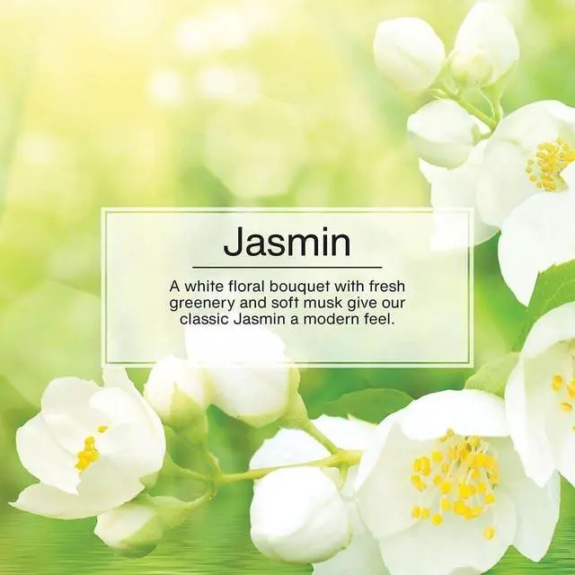Alt view image 5 of 7 - CAR FRESHNER U3S-32033 Jasmine Little Trees Air Freshener (3 Pack)