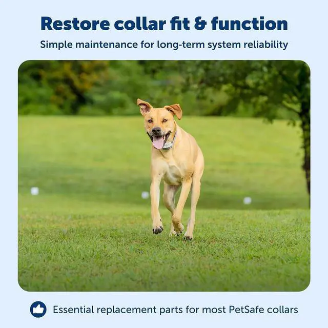 Alt view image 3 of 7 - PetSafe Accessory Kit for Fencing Collars, In-Ground & Wireless | Includes Replacement or Extra Short & Long Contact Points, Protective Level Covers & Hardware for Most PetSafe Fence Collars
