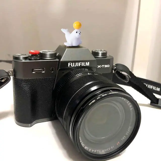 Alt view image 2 of 6 - Camera Hot Shoe Cover, Cartoon Hot Shoe Cap, Hot Shoe Protector Compatible with Sony Fujifilm Fuji Canon Nikon Pentax Leical Panasonic (2pcs Seal Dolphin)