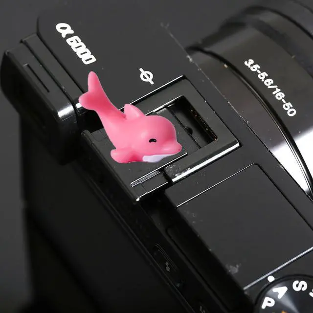 Alt view image 6 of 6 - Camera Hot Shoe Cover, Cartoon Hot Shoe Cap, Hot Shoe Protector Compatible with Sony Fujifilm Fuji Canon Nikon Pentax Leical Panasonic (2pcs Seal Dolphin)