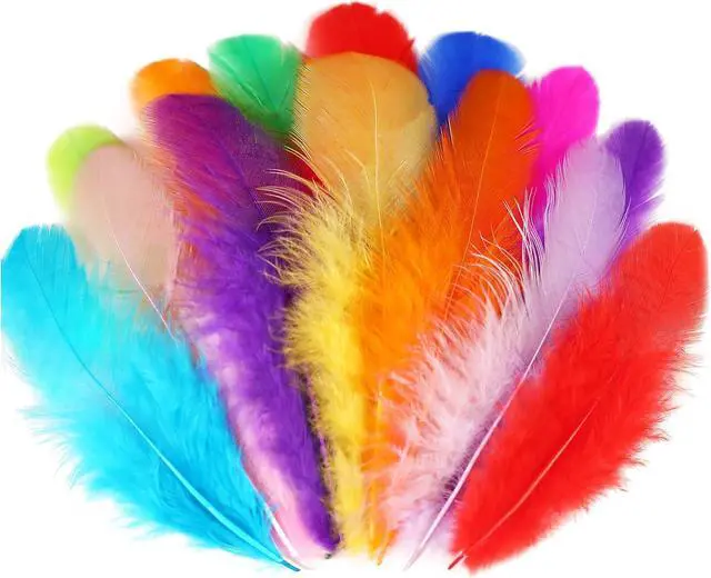 Main image of Soarer Colorful Craft Supplies Feathers Bulk for Crafting,300Pcs,3-5inch | Soft Assorted Colored Rooster Feathers for DIY School Crafts,Dream Catchers,Thanksgiving,Christmas Home and Costume Decor