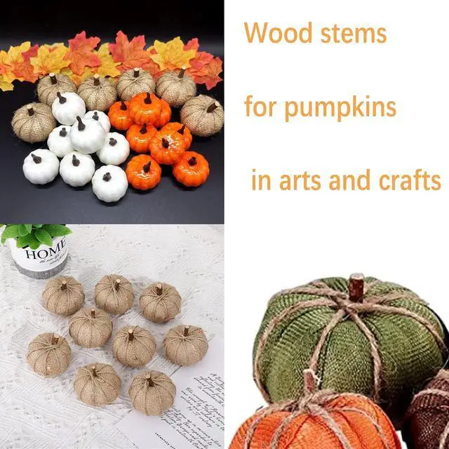 Alt view image 7 of 7 - Wood Craft Sticks Crafting Twigs, Pumpkin Stems DIY Vase Fillers | Log Toy Rustic Decorations Ornaments,Loose Parts Play Materials
