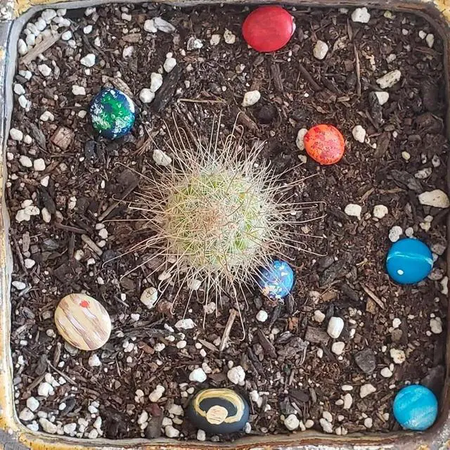 Alt view image 6 of 7 - Lifetop 50PCS Tiny Painting Rocks, Pre-Colored 0.5-1.0" DIY Smooth Surface Stones,Arts and Crafts, Holiday Decor, Classroom Art Supplies, Garden Landscaping, Planters, Vase Fillers