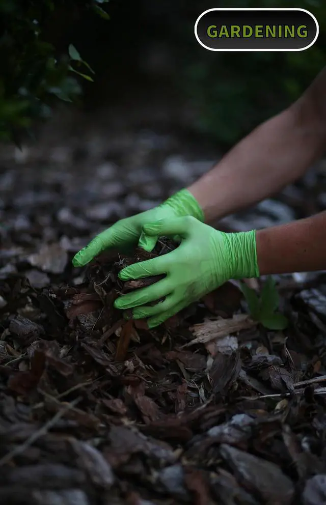 Alt view image 4 of 7 - STYLETEK Nitrile Lime Green Glove, Disposable Glove, Powder Free, Thick Quality, Latex-Free, Salon, Home,Gardening, Mutli Use