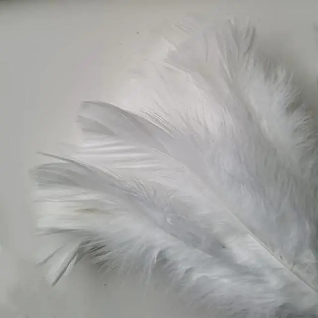 Alt view image 5 of 6 - Turkey Feather Dusters for Cleaning Home Blinds Kitchen car Office, Eco-Friendly Reusable 2 pcs White
