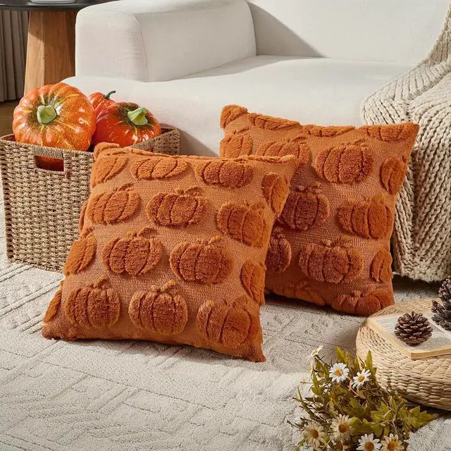 Main image of Pumpkin Fall Throw Pillow Covers 20x20 Set of 2, Rust Decorative Faux Fur Cushion Covers, Fluffy Plush Accent Pillowcases for Autumn Harvest Farmhouse Couch Decor