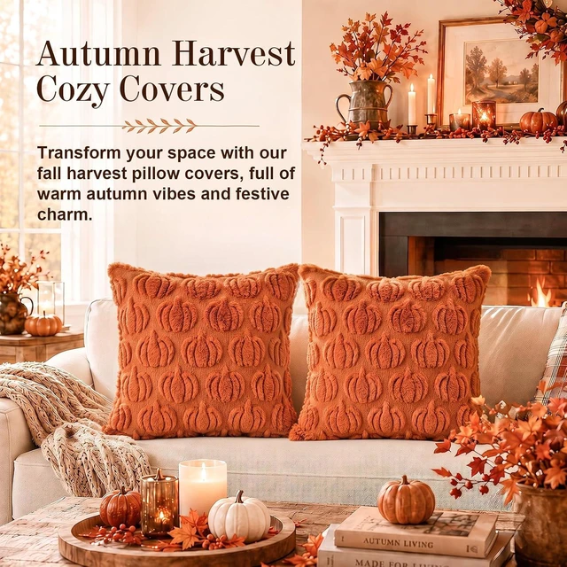 Alt view image 4 of 7 - Fall Pillow Covers 18x18 Set of 2, Fall Decorations for Home