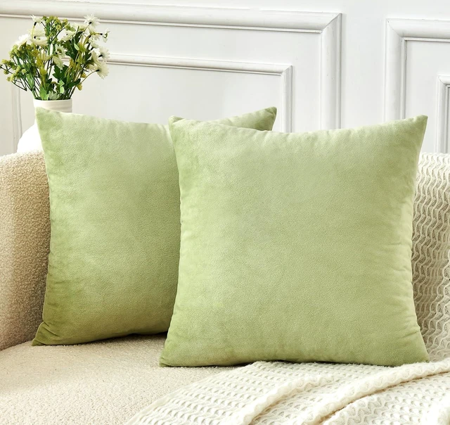 Main image of Throw Pillow Covers Sage Green Set of 2 18x18 Inch Pillow Covers, Soft Velvet Decorative Pillowcases for Couch Sofa Bed, Home Boho Decor, Modern Farmhouse Cushion Covers