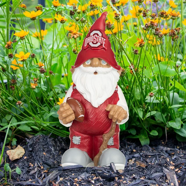 Alt view image 5 of 5 - Team Gnome NCAA