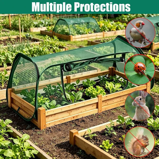 Alt view image 4 of 7 - 2PCS Pop-Up Raised Garden Bed Cover, Plant Protector Crop Cage