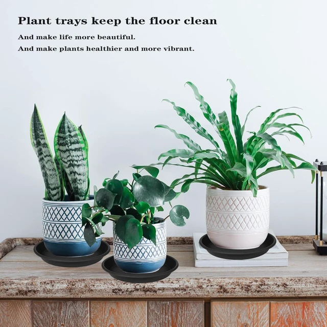 Alt view image 6 of 6 - 26-Inch Large Heavy-Duty Plant Saucer, Sturdy Plastic Drainage Tray for Indoor Planters & Bird Bath Bowls, 1 Pack (Black)