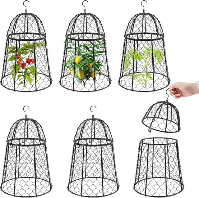 Main image of Sturdy Chicken Wire Garden Cloches for Plants, 6 Pack Plant Covers