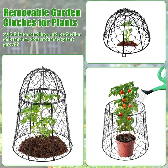 Alt view image 5 of 7 - Sturdy Chicken Wire Garden Cloches for Plants, 6 Pack Plant Covers