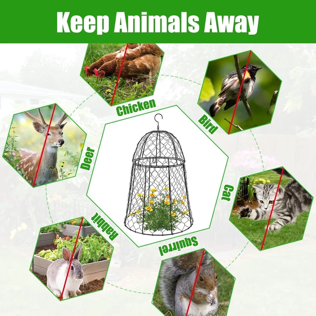 Alt view image 6 of 7 - Sturdy Chicken Wire Garden Cloches for Plants, 6 Pack Plant Covers