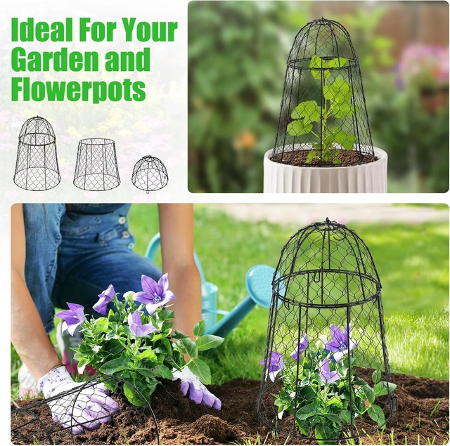 Alt view image 7 of 7 - Sturdy Chicken Wire Garden Cloches for Plants, 6 Pack Plant Covers