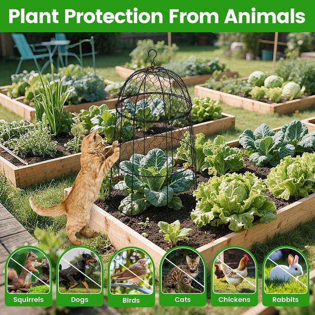 Main image of 12Pcs 20×12.6in Chicken Wire Garden Cloches, Anti-Rust Split-Design Plant Cages to Keep Animals Out, Sturdy Outdoor