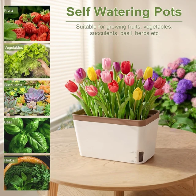 Alt view image 6 of 7 - 6-Set Rectangular Windowsill Planter, Self Watering Pots for Indoor Plants