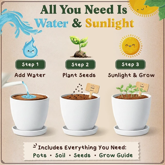 Alt view image 3 of 7 - Non-GMO Organic Herb Seeds for Planting (Herb Garden Starter Kit)