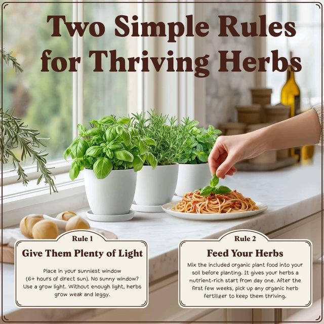Alt view image 5 of 7 - Non-GMO Organic Herb Seeds for Planting (Herb Garden Starter Kit)