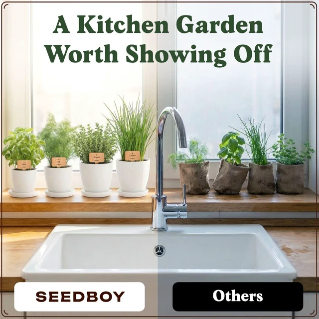 Alt view image 6 of 7 - Non-GMO Organic Herb Seeds for Planting (Herb Garden Starter Kit)