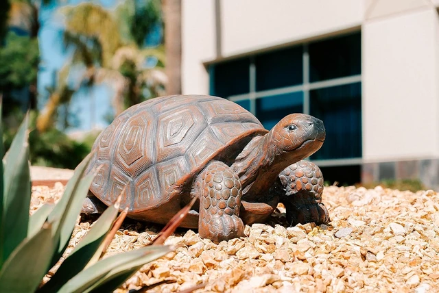 Alt view image 3 of 7 - 21.3" L Brown & Black Concrete/MgO Walking Turtle Statue, Indoor or Outdoor Garden Décor