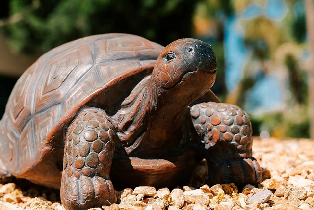 Alt view image 4 of 7 - 21.3" L Brown & Black Concrete/MgO Walking Turtle Statue, Indoor or Outdoor Garden Décor