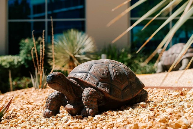 Alt view image 5 of 7 - 21.3" L Brown & Black Concrete/MgO Walking Turtle Statue, Indoor or Outdoor Garden Décor
