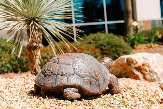 Alt view image 6 of 7 - 21.3" L Brown & Black Concrete/MgO Walking Turtle Statue, Indoor or Outdoor Garden Décor