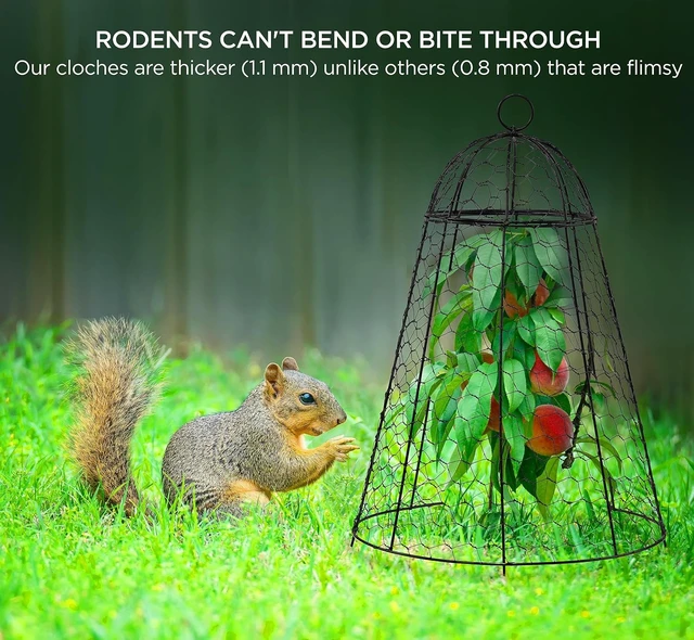 Alt view image 5 of 7 - Garden Cloches Chicken Wire Cages to Protect Plants from Animals, Outdoor