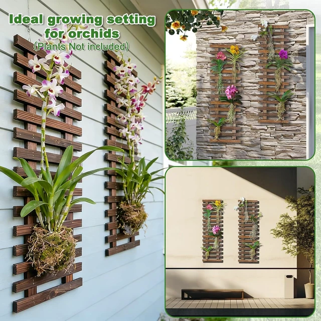 Alt view image 3 of 6 - 2 Pcs Wooden Wall Planters, 11.4"W x 35.43"H Hanging Wall-Mounted Plant Holder & Trellis for Indoor/Outdoor Plants, Orchids, Succulents & Air Plants